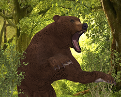 Bear01