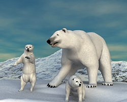 Polar Bear01
